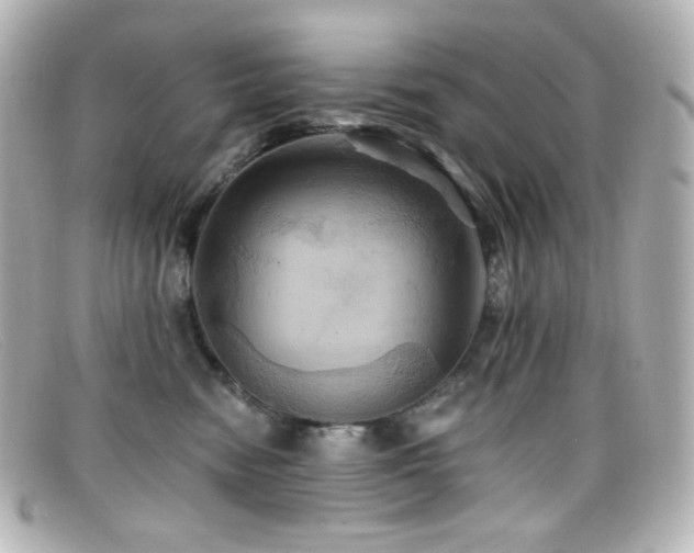 X0000099380474200805081450