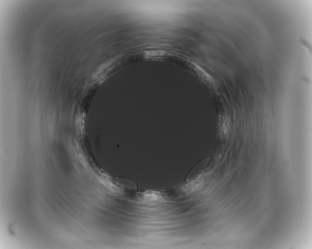 X0000099380475200805081450