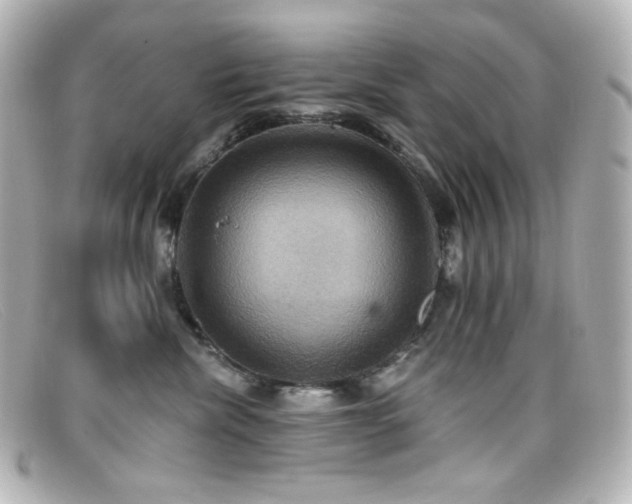 X0000099380476200805081450