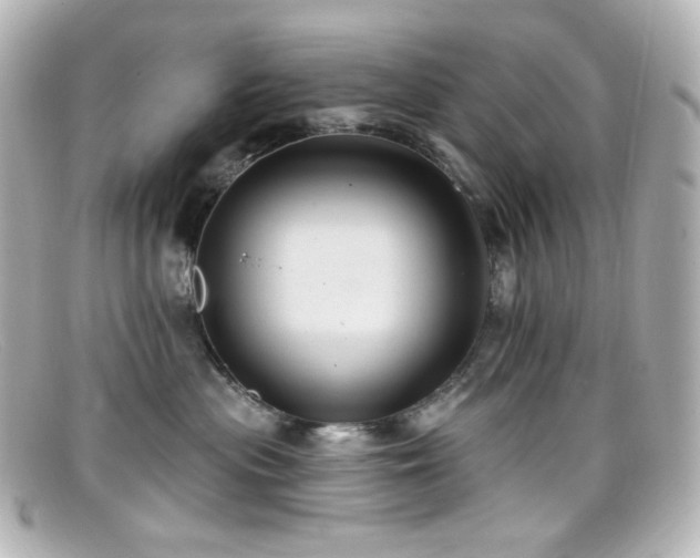 X0000099380477200805081450