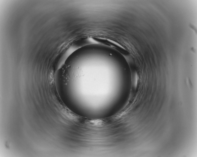 X0000099380478200805081450