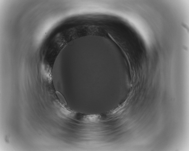 X0000099380479200805081450