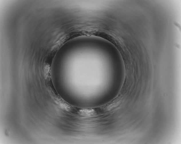 X0000099380480200805081450