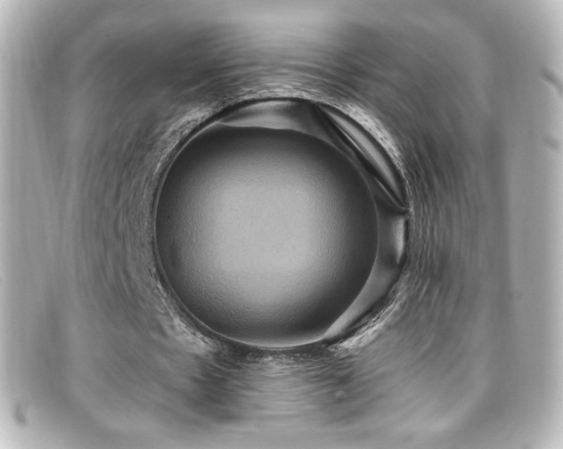 X0000099380481200805081449