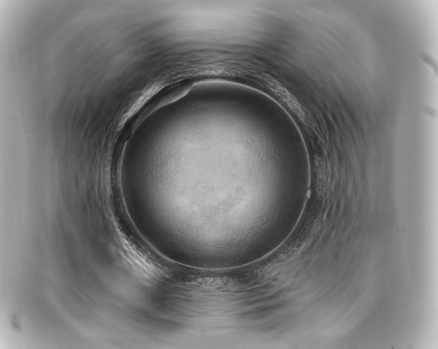 X0000099380482200805081449