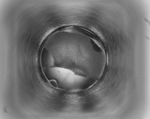 X0000099380483200805081449