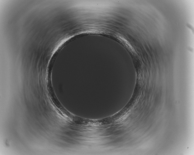 X0000099380484200805081449