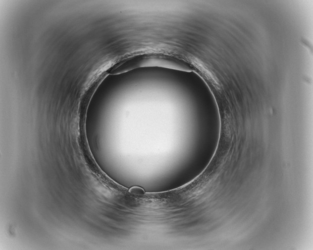 X0000099380486200805081449