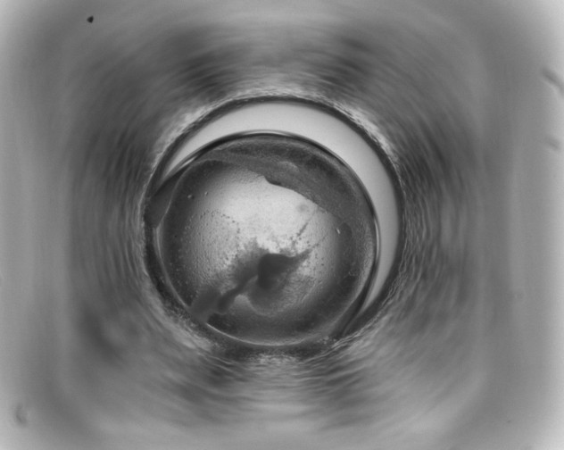 X0000099380487200805081449