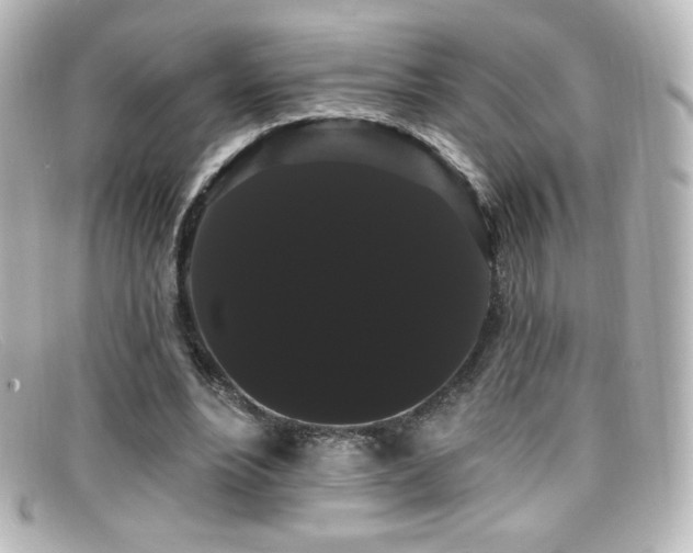 X0000099380488200805081449