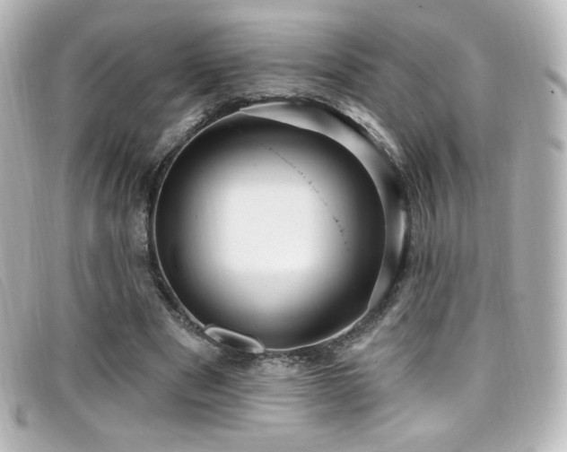 X0000099380489200805081449