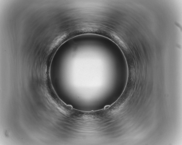 X0000099380490200805081449