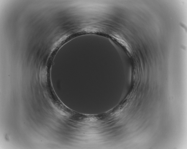 X0000099380492200805081449