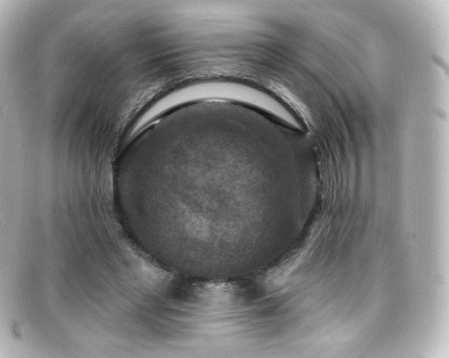 X0000099380493200805081449