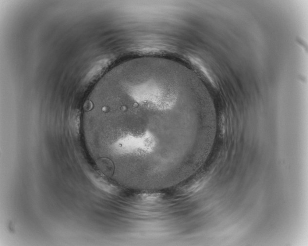 X0000099380495200805081449