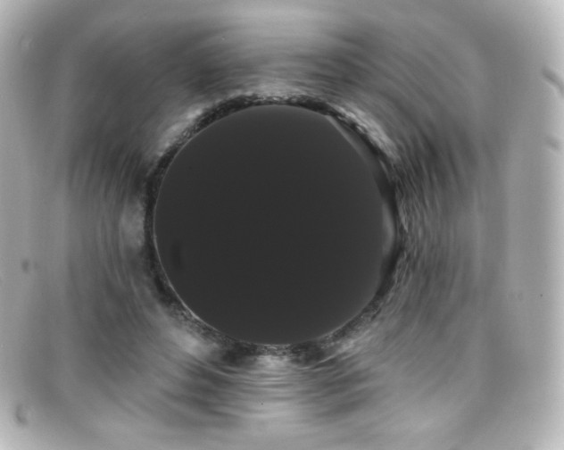 X0000099380496200805081449