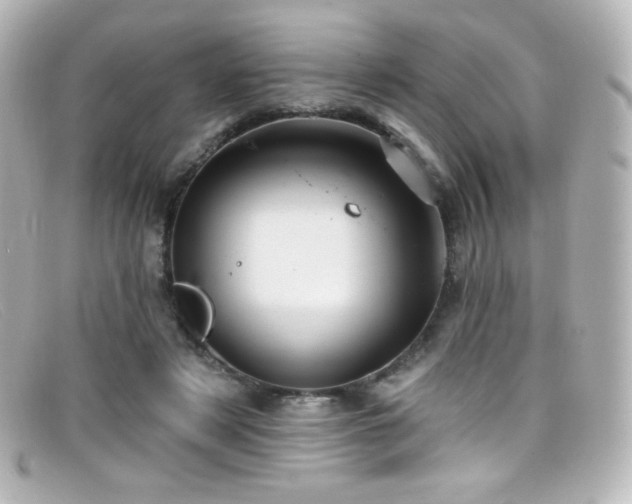 X0000099380497200805081449