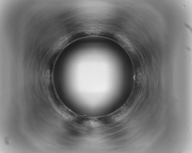 X0000099380498200805081449