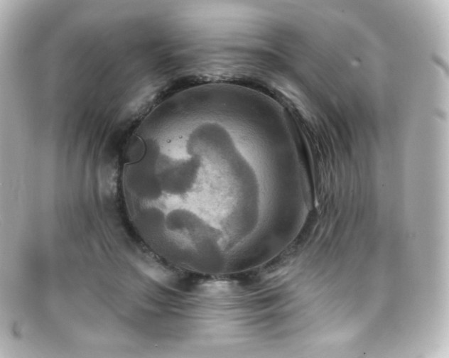 X0000099380499200805081449