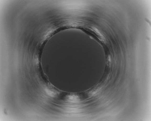 X0000099380500200805081449