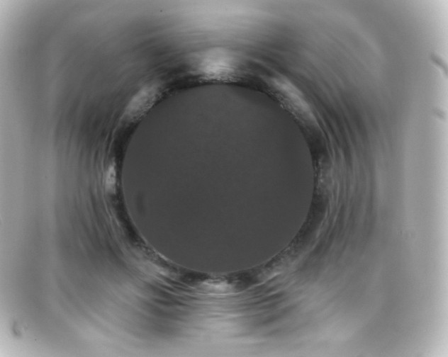 X0000099380502200805081449