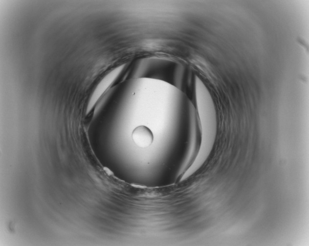 X0000099380503200805081449