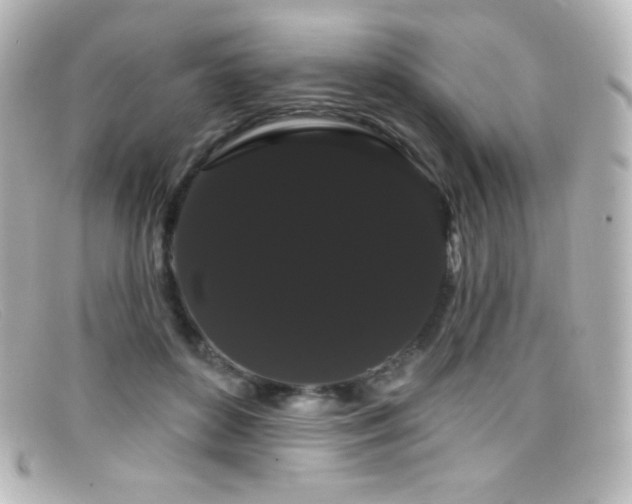 X0000099380504200805081449