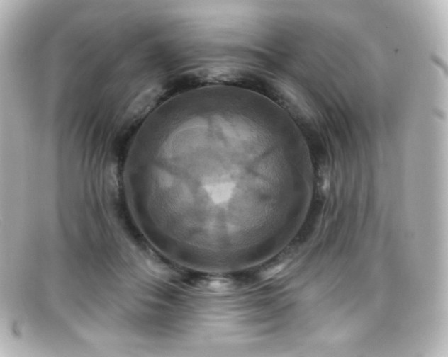 X0000099380506200805081449