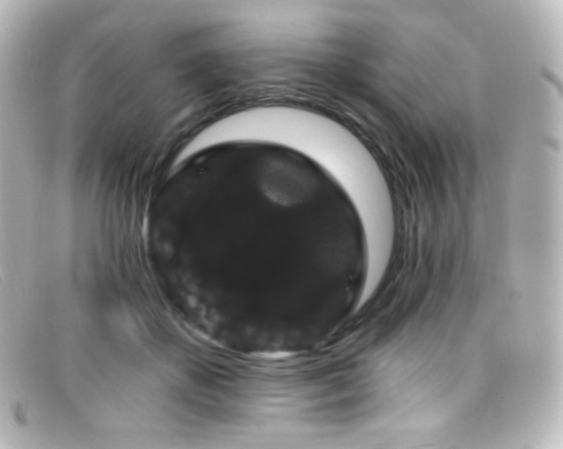 X0000099380507200805081449