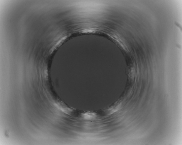 X0000099380508200805081449