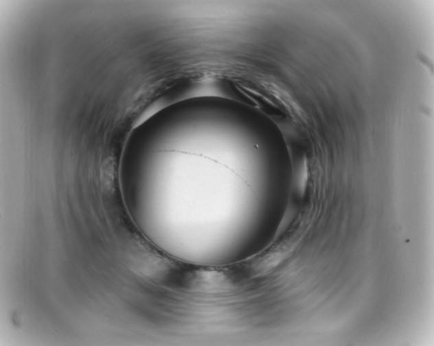 X0000099380509200805081449