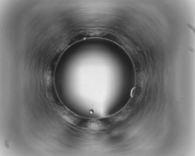 X0000099380510200805081449