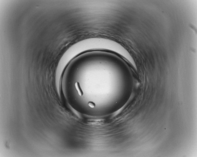 X0000099380511200805081449