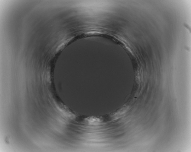 X0000099380512200805081449