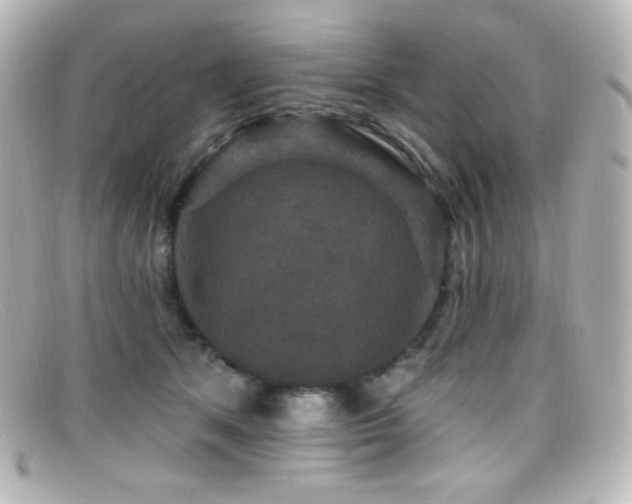 X0000099380513200805081449