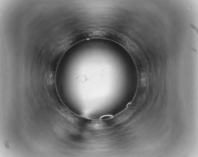 X0000099380514200805081449