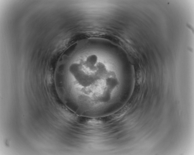 X0000099380515200805081449