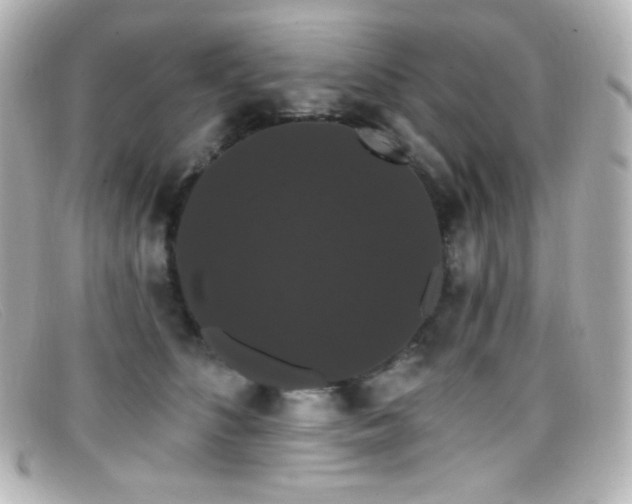 X0000099380516200805081449