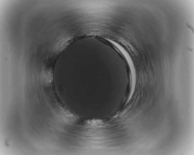 X0000099380517200805081449