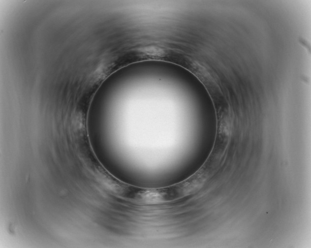 X0000099380518200805081449