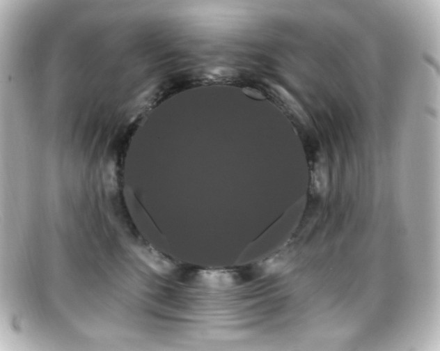 X0000099380520200805081449