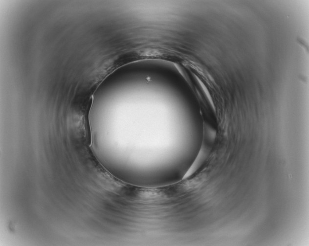 X0000099380521200805081449