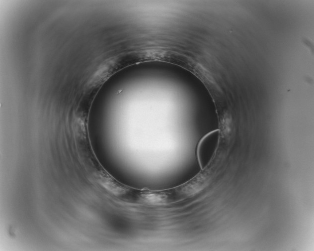 X0000099380522200805081449