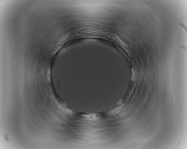 X0000099380524200805081449