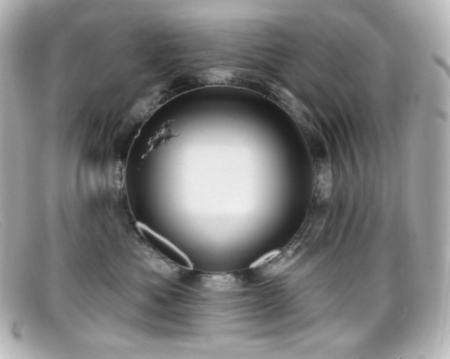 X0000099380525200805081449