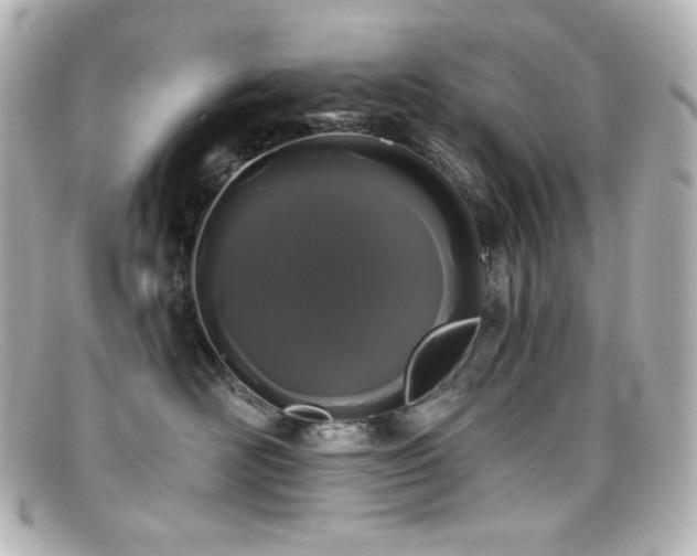 X0000099380526200805081449