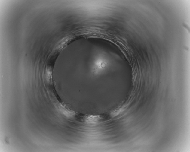 X0000099380527200805081449