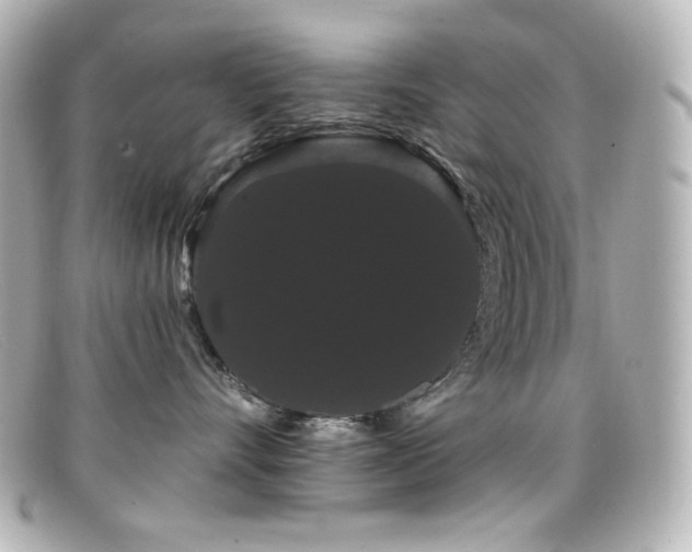 X0000099380528200805081449