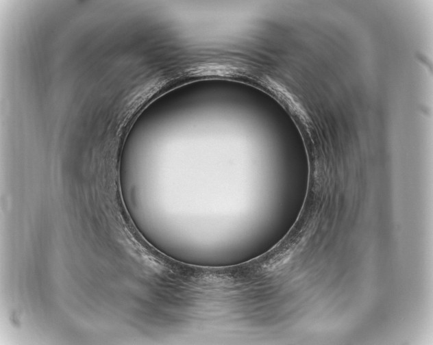 X0000099380529200805081448