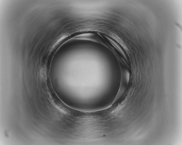 X0000099380530200805081448